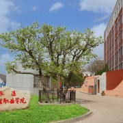 承德護理職業學院