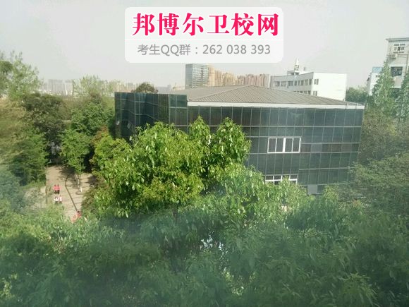華大衛校