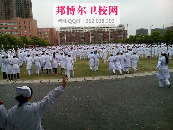 廬州衛生科技學校