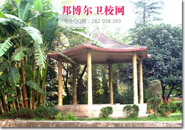 云南醫學高等專科學校2