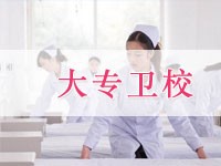 大專衛校