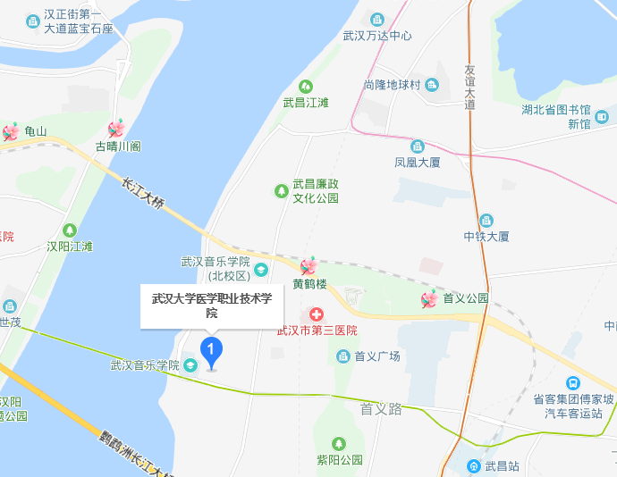 武漢大學醫學職業技術學院2019年地址在哪里