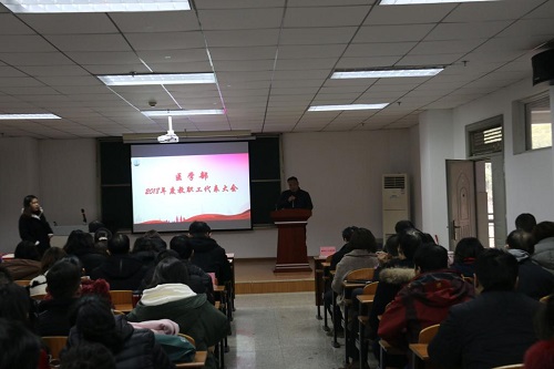 長江大學醫學院2019年招生辦聯系電話
