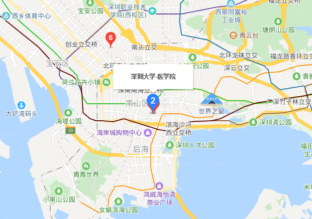 深圳大學醫學院地址在哪里