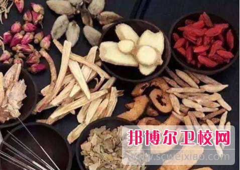 廣東2020年中專學衛校有前途嗎