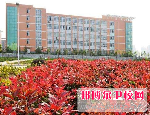 河南2020年的衛校報名要求是什么