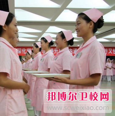河南2020年的衛(wèi)校不是公辦學校嗎