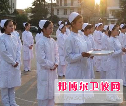 河南2020年的衛校春招需要多少分