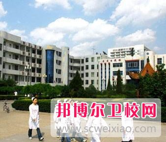 河南2020年高等衛校大專學校