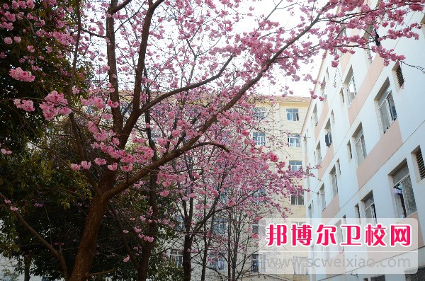 云南中醫藥中等專業學校怎么樣、好不好