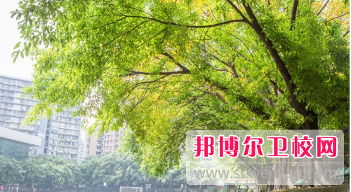 廈門醫學高等專科學校排名