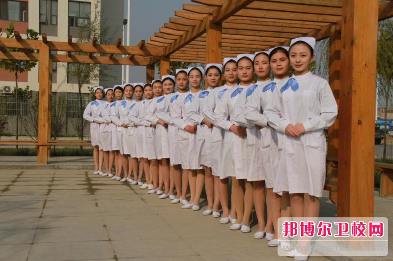 廣西2021年高等衛(wèi)校大專(zhuān)學(xué)校
