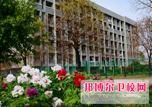 徐州生物工程職業技術學院網站網址