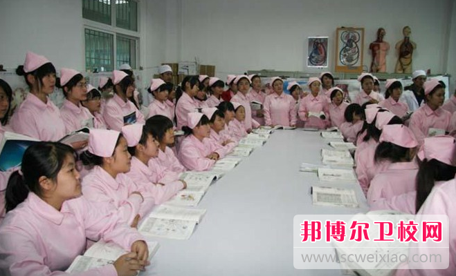滄州2022年衛校學什么的