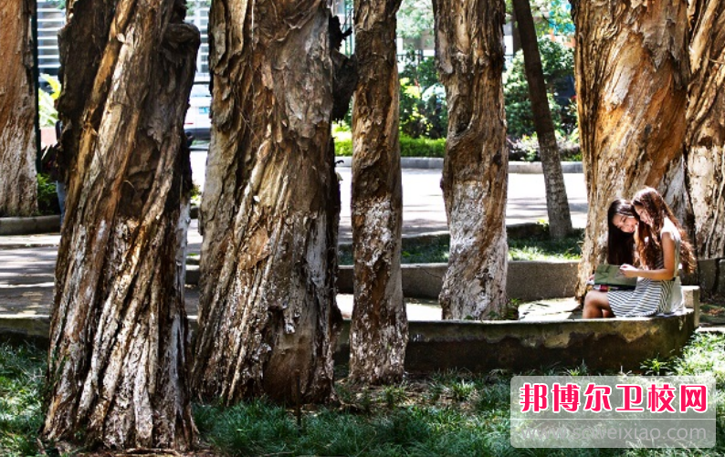 中山大學中山醫學院是幾本