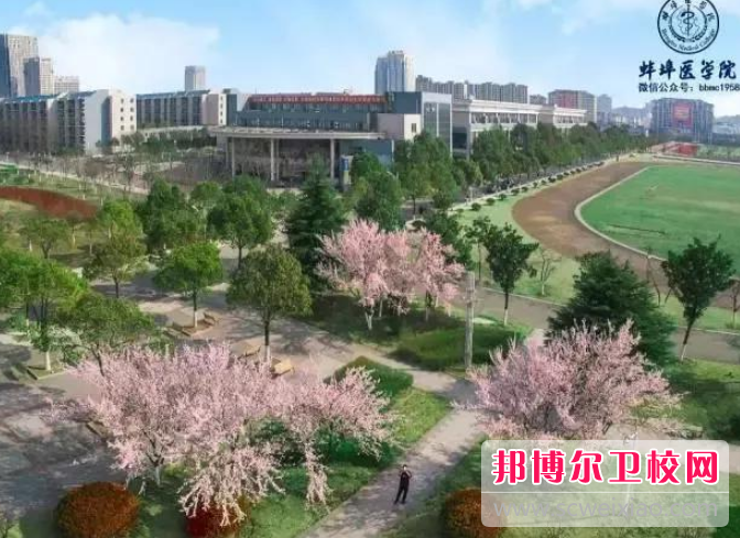 蚌埠醫學院2022年招生辦聯系電話