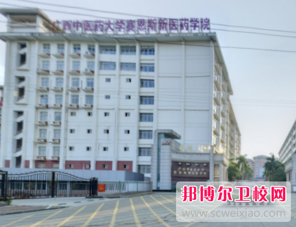 廣西中醫藥大學賽恩斯新醫藥學院怎么樣、好不好