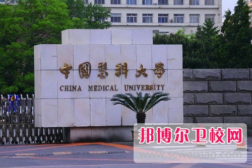 中國醫科大學臨床醫藥學院2022年是幾本