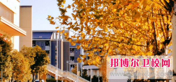 安徽中醫藥大學2022年是幾本