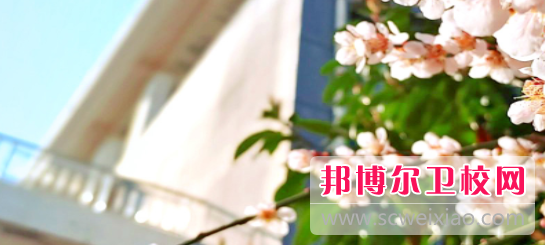 濱州醫學院2022年招生代碼
