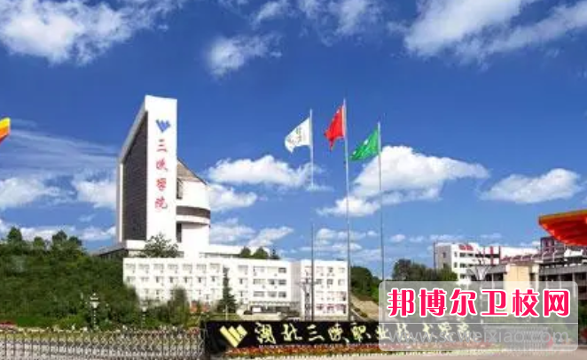 宜昌2020年衛校最好的大專院校有哪些