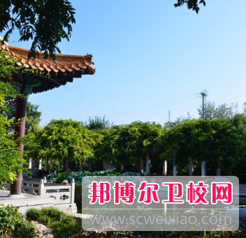 山東2023年職業技術衛校哪個好