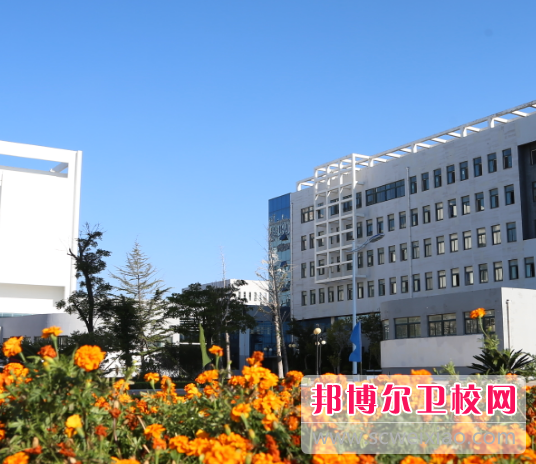 山東2023年衛校好的大專有哪些