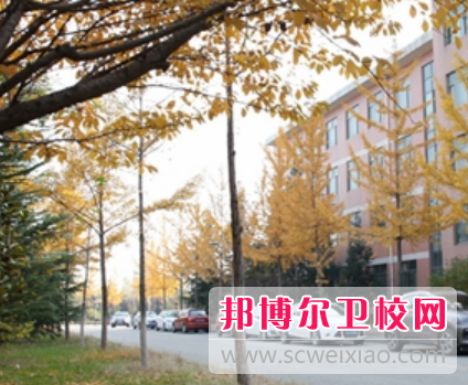 山東2023年衛校好的大專有哪些