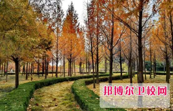 山東2023年有哪些衛校的大專院校
