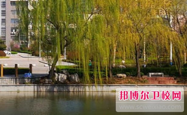 山東2023年哪些大專的衛校比較好