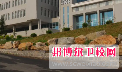 山東2023年讀衛校需要什么條件