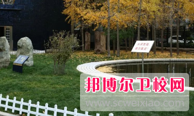 山東2023年好的衛校