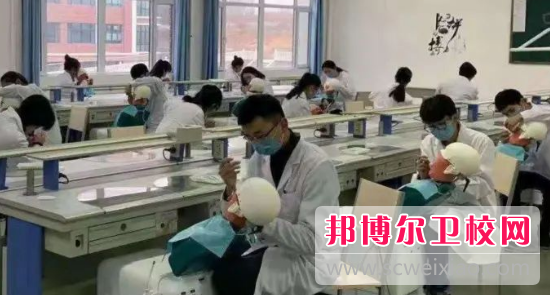 山東2023年讀衛校需要什么