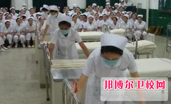 山東2023年衛校在哪兒