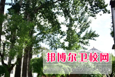 山東2023年有什么衛校