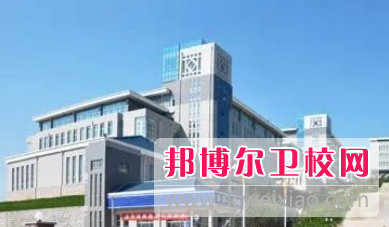 山東2023年現在讀什么衛校好