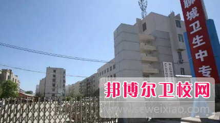 山東2023年現在讀什么衛校好