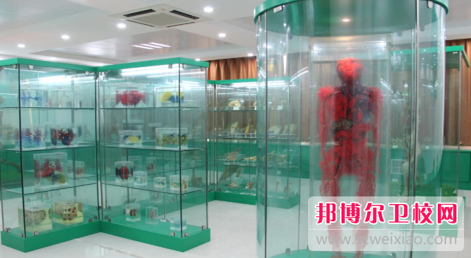 貴州2023年女生讀衛(wèi)校學什么專業(yè)好