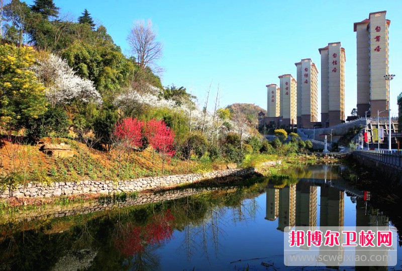 貴州2023年衛(wèi)校和中專有哪些區(qū)別