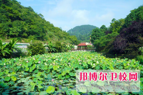 貴州2023年讀衛校需要什么條件