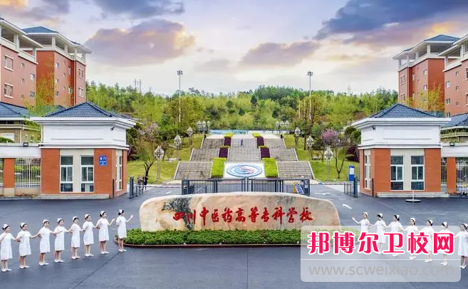 2023年四川中醫藥高等?？茖W校學什么專業內容