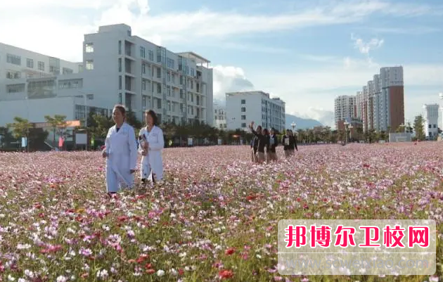 紅河衛生職業學院的護理專業招生情況(2023參考)