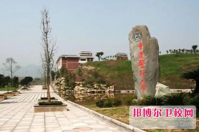 重慶醫科大學護理學院的護理專業招生情況(2023參考)