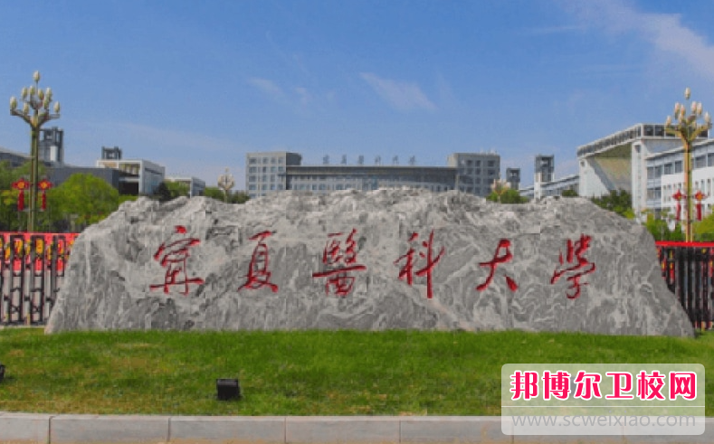 2023寧夏公辦衛(wèi)生學校有哪些 寧夏公辦衛(wèi)生學校名單一覽表