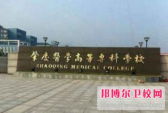 2023肇慶公辦衛生學校有哪些 肇慶公辦衛生學校名單一覽表