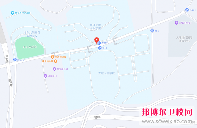 大理護理職業學院地址在哪里，哪個地區，哪個城市?