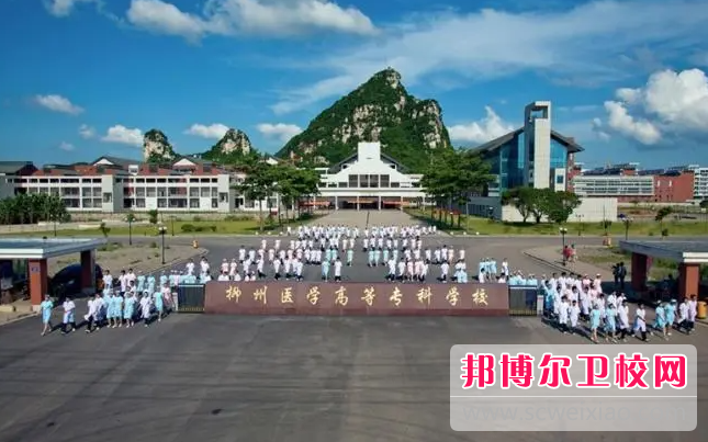 2023柳州醫(yī)學(xué)高等專(zhuān)科學(xué)校附屬中等衛(wèi)生學(xué)校有哪些專(zhuān)業(yè) 柳州醫(yī)學(xué)高等專(zhuān)科學(xué)校附屬中等衛(wèi)生學(xué)校開(kāi)設(shè)的專(zhuān)業(yè)一覽表