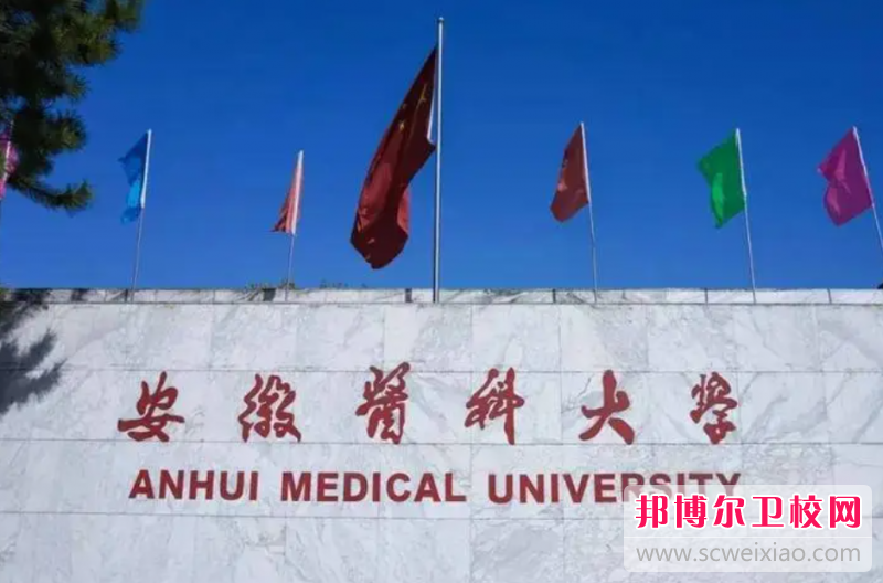 2023安徽醫(yī)科大學(xué)有哪些專(zhuān)業(yè) 安徽醫(yī)科大學(xué)開(kāi)設(shè)的專(zhuān)業(yè)一覽表