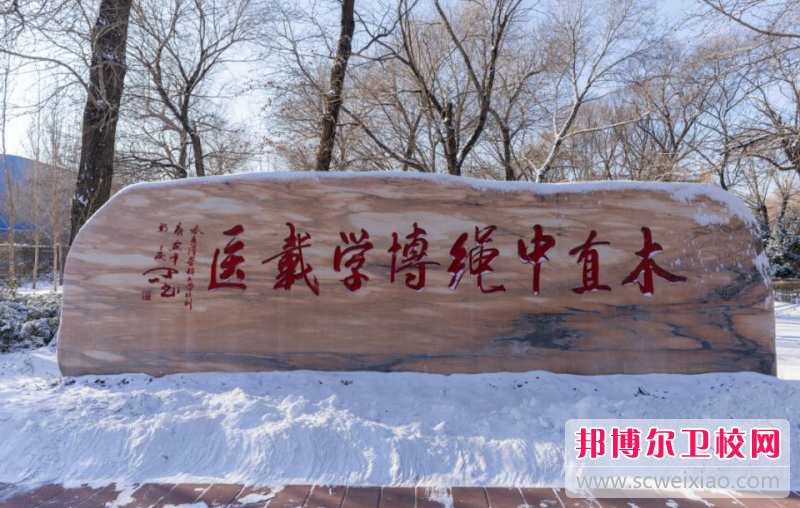 2023哈爾濱醫科大學招生計劃 招生人數是多少(附要求、條件、對象)