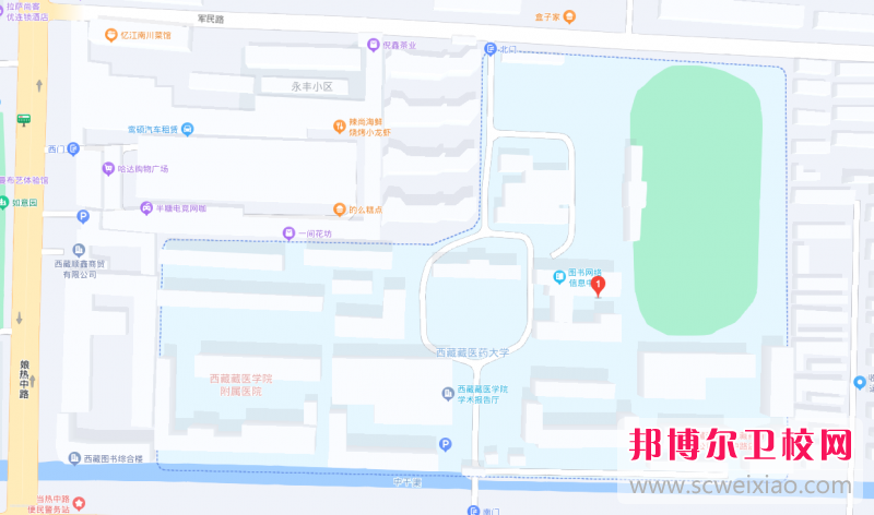 西藏藏醫藥大學地址在哪里，哪個地區，哪個城市?